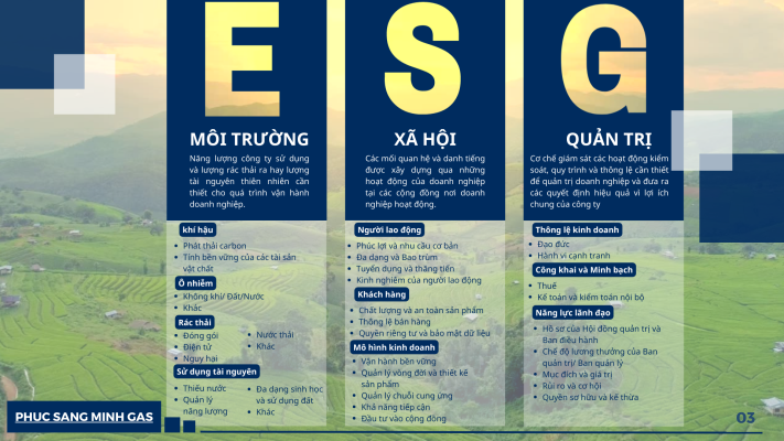 ESG Và Ngành Gỗ: Máy Chà Nhám Không Bụi Góp Phần Ra Sao - máy chà nhám gỗ Nhất Quán